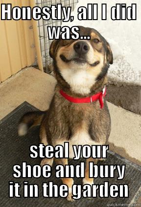 HONESTLY, ALL I DID WAS... STEAL YOUR SHOE AND BURY IT IN THE GARDEN Good Dog Greg