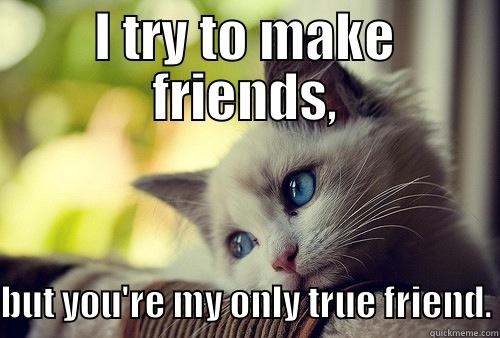 I TRY TO MAKE FRIENDS, BUT YOU'RE MY ONLY TRUE FRIEND. First World Problems Cat