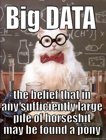 BIG DATA THE BELIEF THAT IN ANY SUFFICIENTLY LARGE PILE OF HORSESHIT MAY BE FOUND A PONY Chemistry Cat
