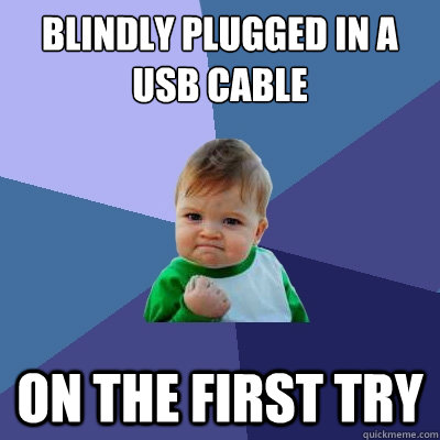 Blindly plugged in a usb cable On the first try  Success Kid