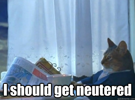  I should get neutered  -  I should get neutered   Misc