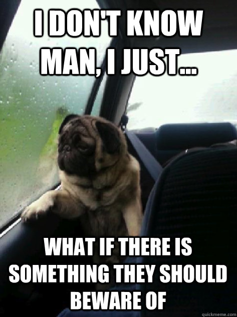I don't know man, I just... what if there is something they should beware of  Introspective Pug