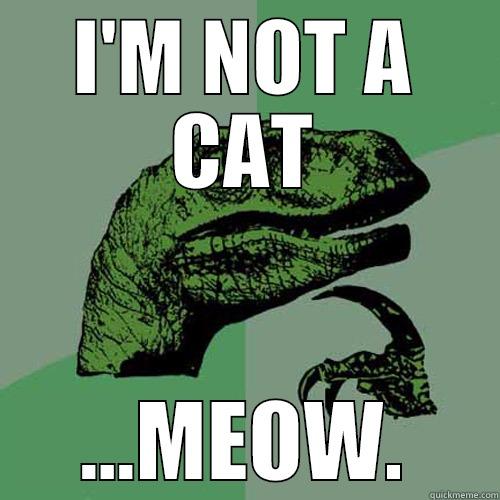 I'M NOT A CAT ...MEOW. Philosoraptor