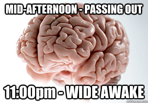 MID-AFTERNOON - PASSING OUT 11:00pm - WIDE AWAKE   Scumbag Brain