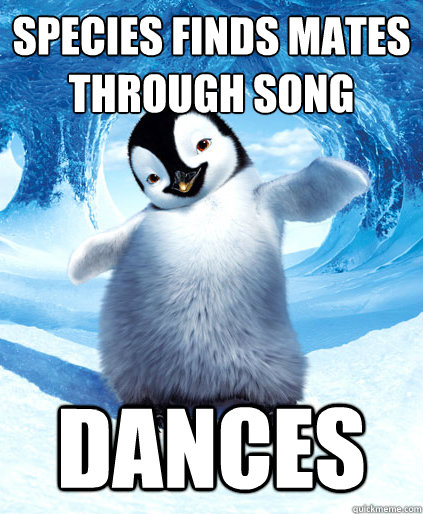 species finds mates through song dances  Socially Awkward Penguin