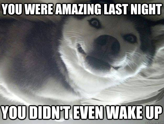 You were amazing last night You didn't even wake up - You were amazing last night You didn't even wake up  Obsessive Dogfriend