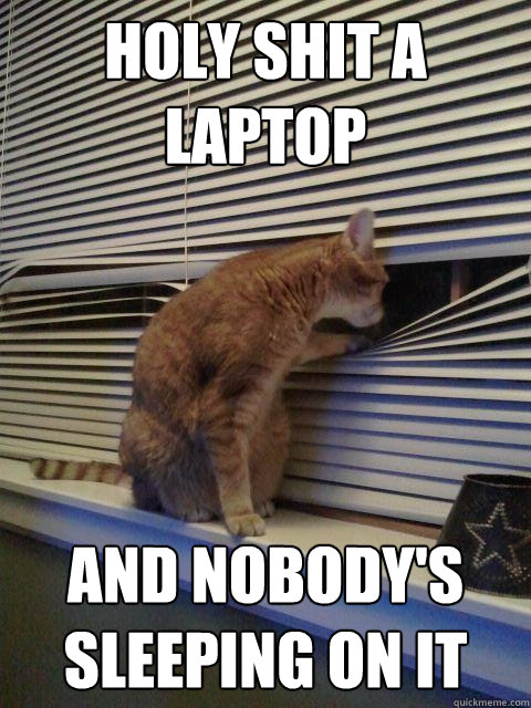 Holy shit a laptop And nobody's sleeping on it   Peeping Tomcat