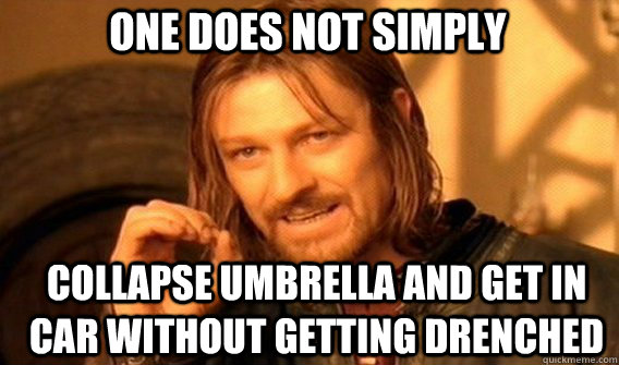 One does not simply Collapse umbrella and get in car without getting drenched  Boromir