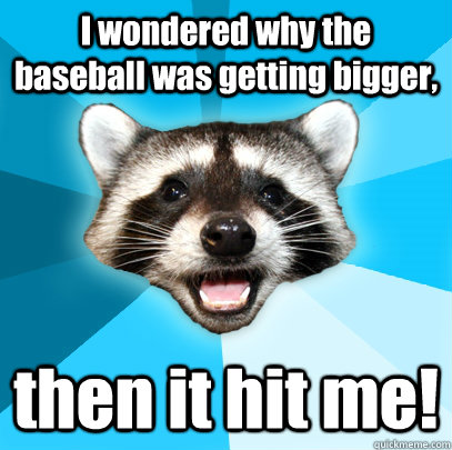 I wondered why the baseball was getting bigger, then it hit me!  Lame Pun Coon