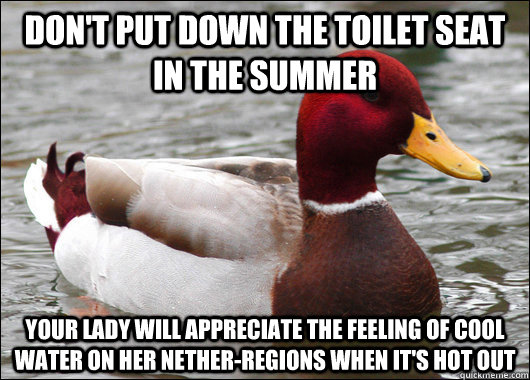 Don't put down the toilet seat in the summer Your lady will appreciate the feeling of cool water on her nether-regions when it's hot out  Malicious Advice Mallard