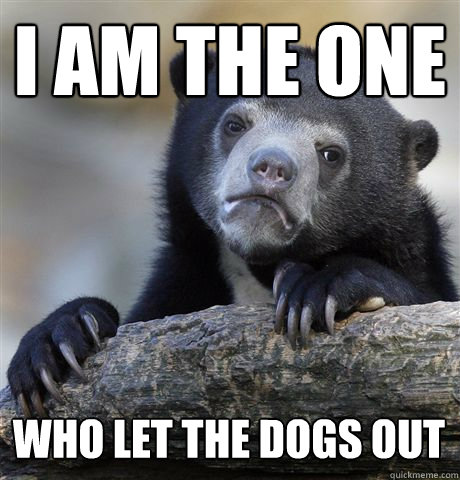 I am the one  Who let the dogs out - I am the one  Who let the dogs out  Confession Bear