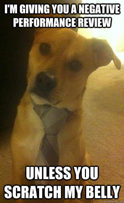 I'm giving you a negative performance review Unless you scratch my belly  Business Dog