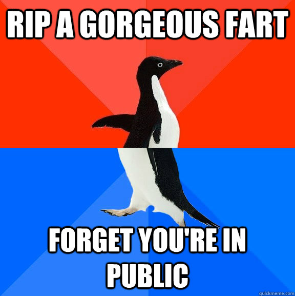 Rip a gorgeous fart forget you're in public  Socially Awesome Awkward Penguin