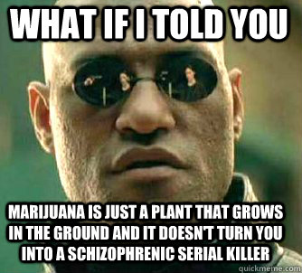 what if i told you Marijuana is just a plant that grows in the ground and it doesn't turn you into a schizophrenic serial killer   Matrix Morpheus