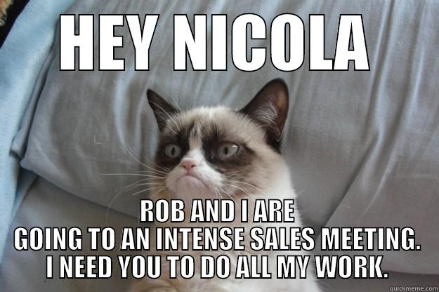 HEY NICOLA ROB AND I ARE GOING TO AN INTENSE SALES MEETING. I NEED YOU TO DO ALL MY WORK. Grumpy Cat