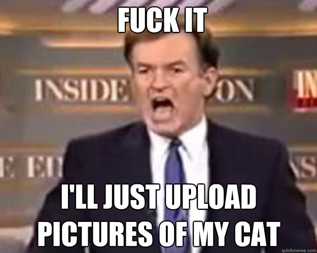 FUCK IT i'll just upload pictures of my cat  Caption 3 goes here  fuck it bill