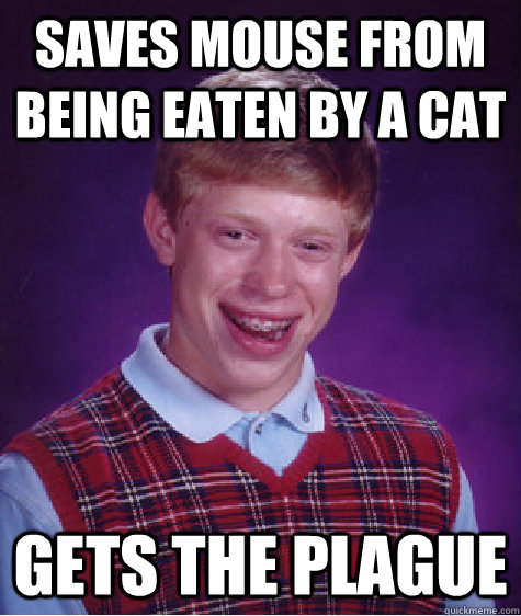 Saves mouse from being eaten by a cat Gets the plague  Bad Luck Brian