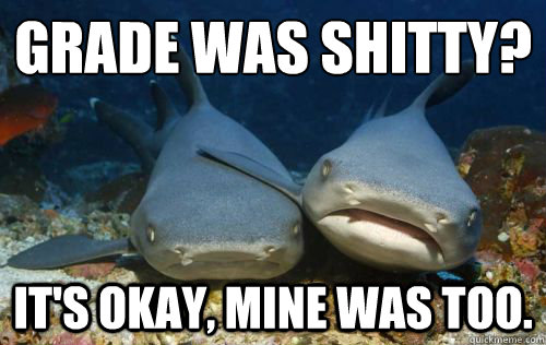 Grade was shitty? It's okay, mine was too.  Compassionate Shark Friend