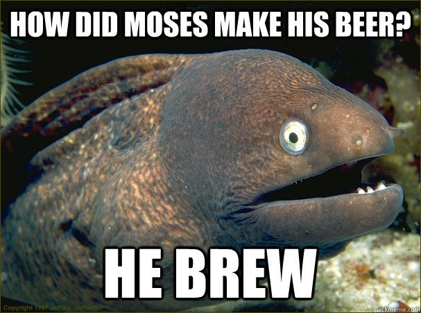 how did moses make his beer? He brew  Bad Joke Eel