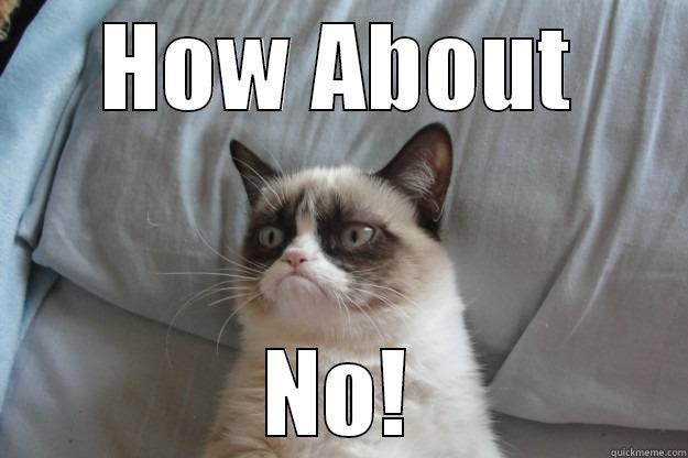 Grumpy No Cat - HOW ABOUT NO! Grumpy Cat