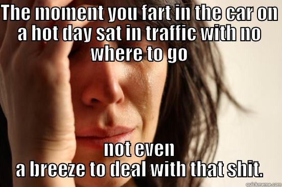 THE MOMENT YOU FART IN THE CAR ON A HOT DAY SAT IN TRAFFIC WITH NO WHERE TO GO NOT EVEN A BREEZE TO DEAL WITH THAT SHIT. First World Problems