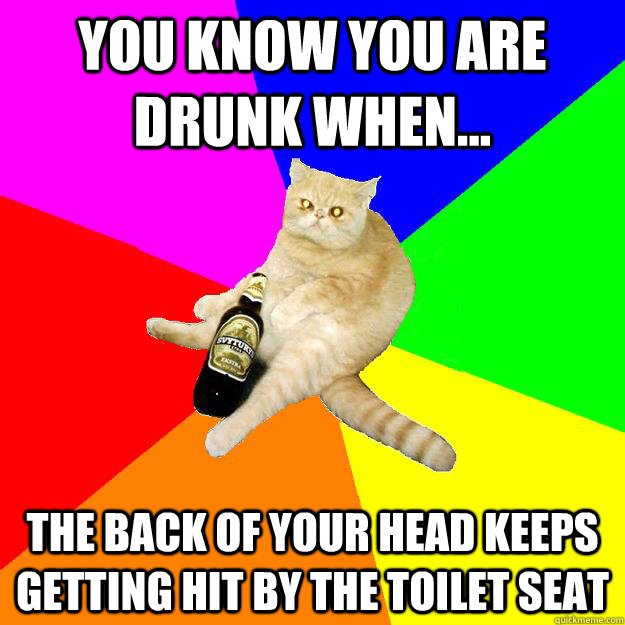 YOU KNOW YOU ARE DRUNK WHEN... THE BACK OF YOUR HEAD KEEPS GETTING HIT BY THE TOILET SEAT  