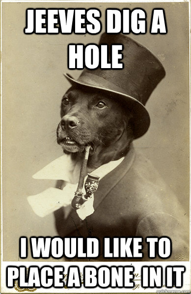 Jeeves dig a hole I would like to place a bone  in it  Old Money Dog