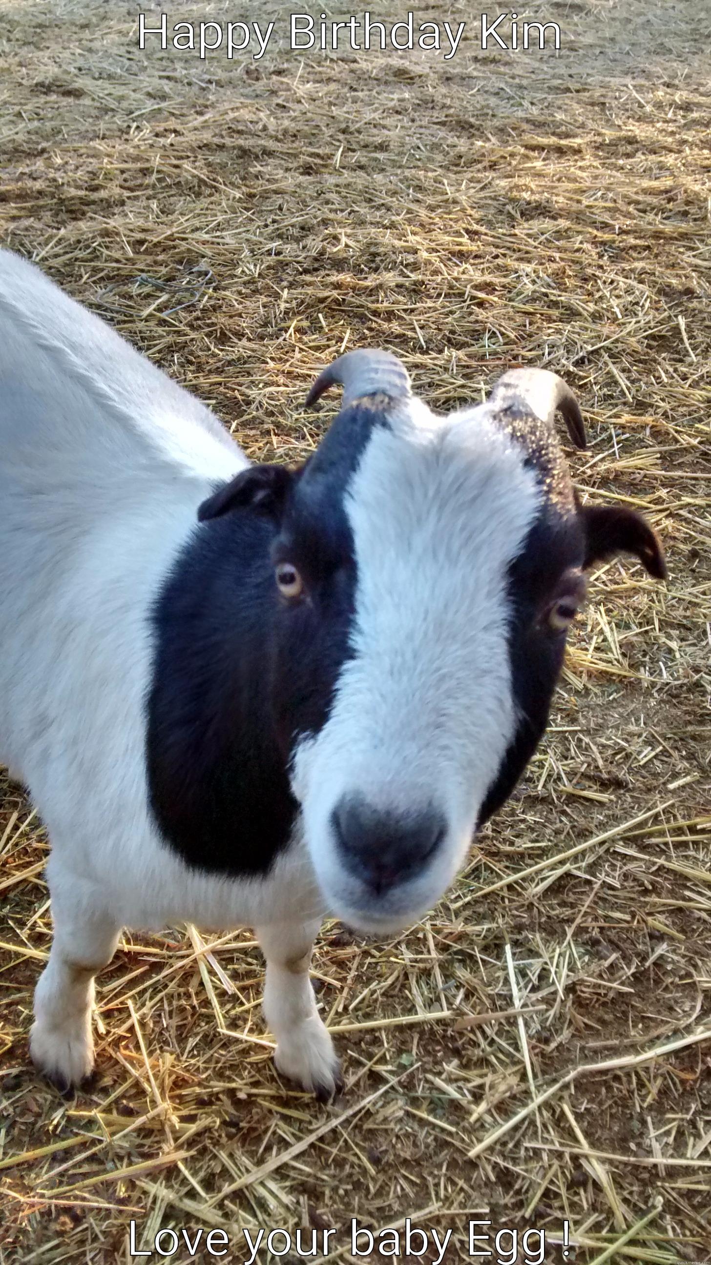 HAPPY BIRTHDAY KIM LOVE YOUR BABY EGG ! Misc