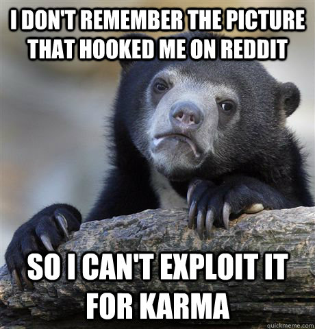 I don't remember the picture that hooked me on reddit so i can't exploit it for karma  Confession Bear