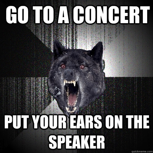 Go to a concert Put your ears on the speaker  Insanity Wolf
