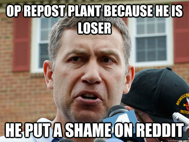 OP REPOST PLANT BECAUSE HE IS LOSER HE PUT A SHAME ON REDDIT - OP REPOST PLANT BECAUSE HE IS LOSER HE PUT A SHAME ON REDDIT  Misc
