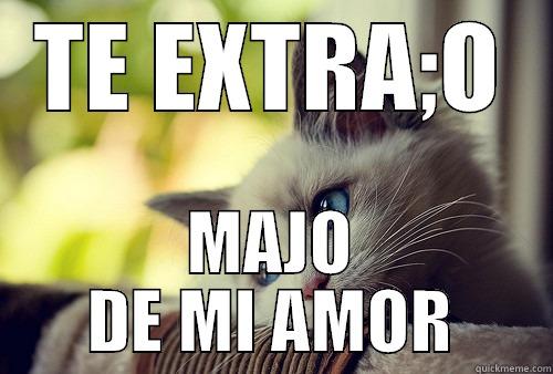 TE EXTRA;O MAJO DE MI AMOR First World Problems Cat