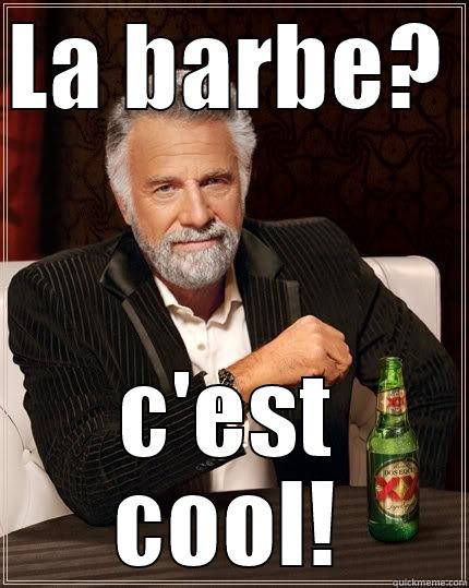 LA BARBE? C'EST COOL! The Most Interesting Man In The World