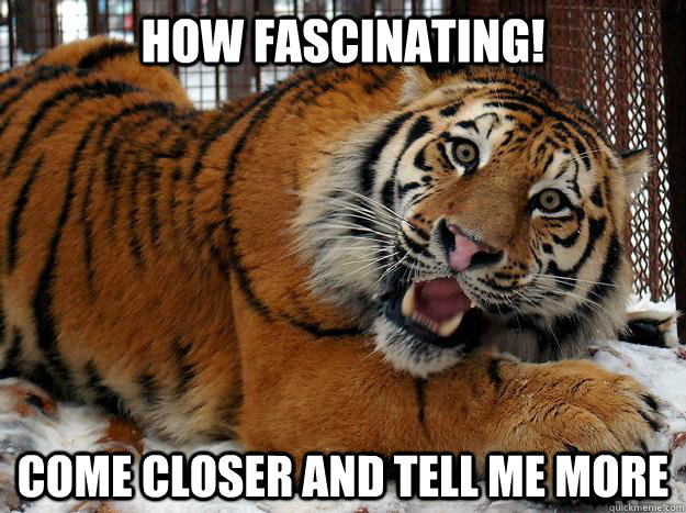 How fascinating! come closer and tell me more  Fascinated Tiger