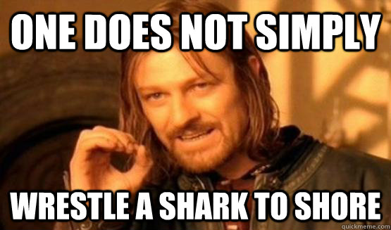 One does not simply wrestle a shark to shore  One Does Not Simply Call You