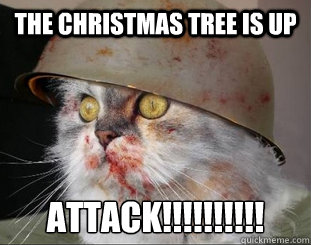 The CHRISTMAS TREE IS UP ATTACK!!!!!!!!!!  Army Cat