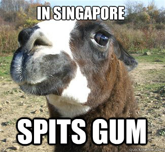 In singapore spits gum  
