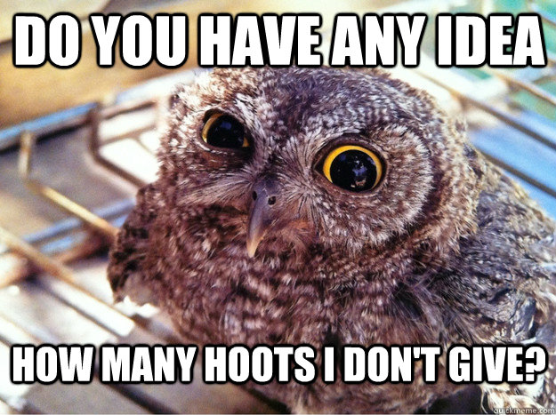 do you have any idea how many hoots i don't give?  Skeptical Owl