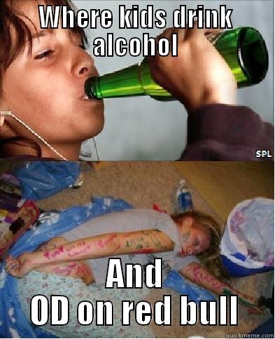 WHERE KIDS DRINK ALCOHOL AND OD ON RED BULL Misc