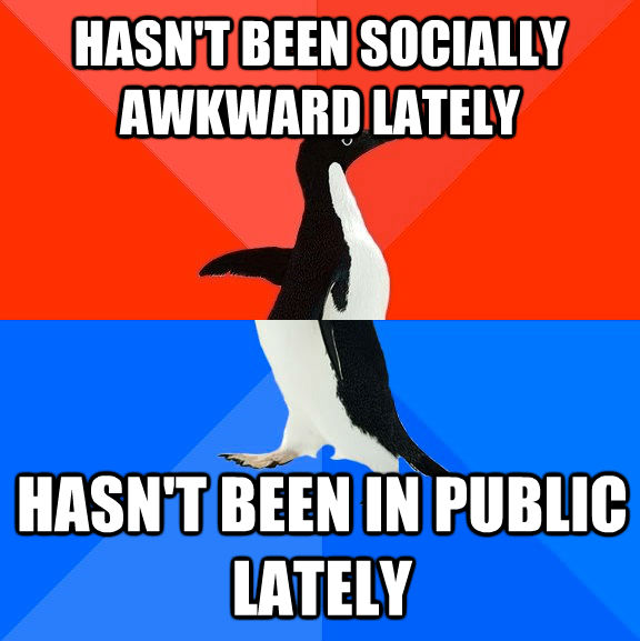 HASN'T BEEN SOCIALLY AWKWARD LATELY HASN'T BEEN IN PUBLIC LATELY  Socially Awesome Awkward Penguin