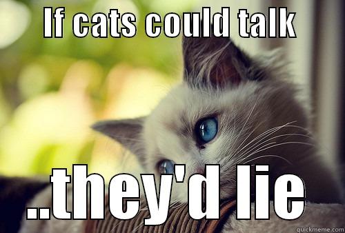       IF CATS COULD TALK        ..THEY'D LIE First World Problems Cat