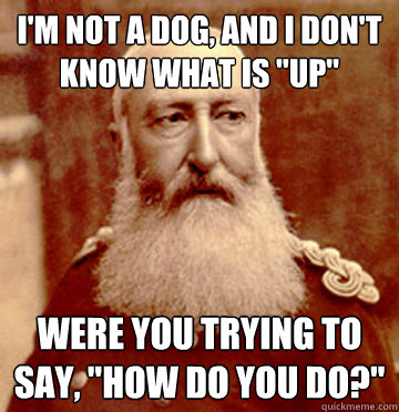 I'm not a dog, and i don't know what is 