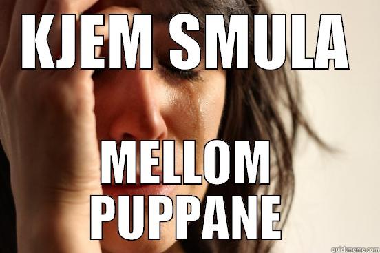 KJEM SMULA MELLOM PUPPANE First World Problems