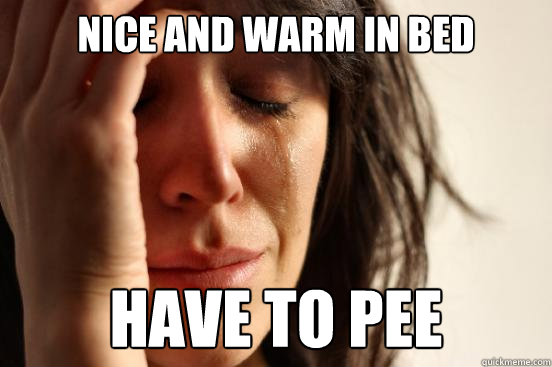 Nice and warm in bed  have to pee  - Nice and warm in bed  have to pee   First World Problems