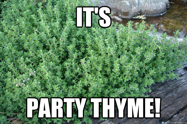 It's PARTY THYME! - It's PARTY THYME!  party thyme