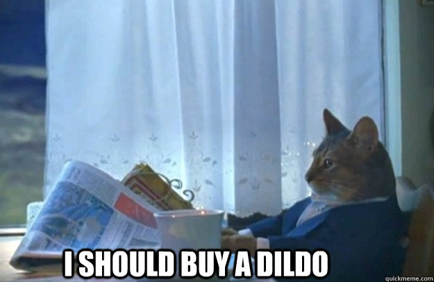 I SHOULD BUY A DILDO - I SHOULD BUY A DILDO  Sophisticated Cat is broke