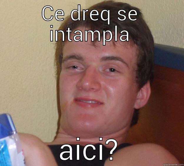 CE DREQ SE INTAMPLA AICI? 10 Guy