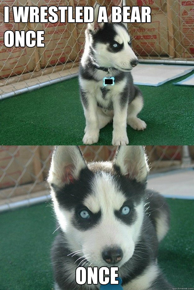 I wrestled a bear once once  Insanity puppy