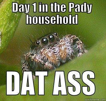 DAY 1 IN THE PADY HOUSEHOLD DAT ASS Misunderstood Spider