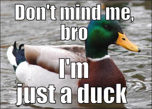 Catchy title - DON'T MIND ME, BRO I'M JUST A DUCK  Actual Advice Mallard